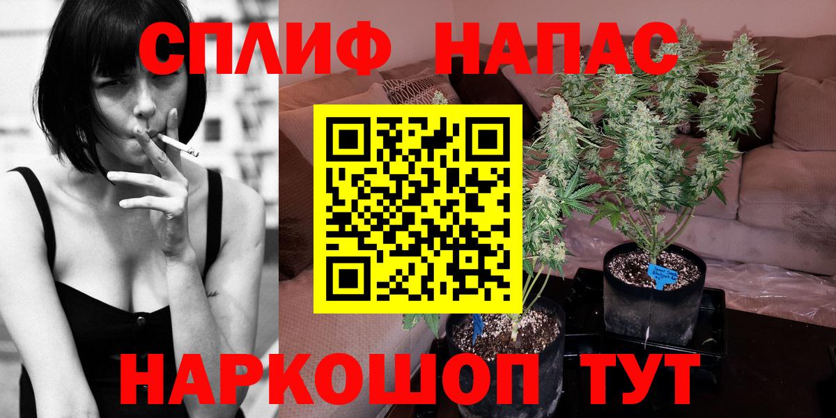 Канабис конопля  Вход с VPN  Канабис LSD WEED  Благодарный  Бошки марихуана OG Kush  Марихуана сатива 